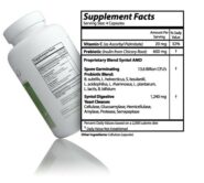 Syntol - 90 capsules - INGREDIENTS