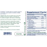 Alternative view of Candidastat - 120 capsules