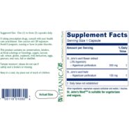 Alternative view of St. Johns Wort - 90 capsules
