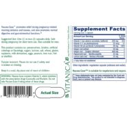 Alternative view of Nausea Ease - 60 capsules