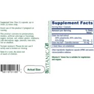 Alternative view of Green Tea - 60 capsules