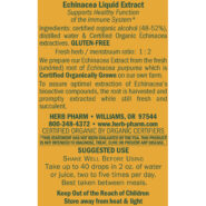 Alternative view of Echinacea Glycerite - 1 ounce
