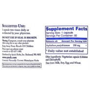 Alternative view of Shilajeet Mumiyo - 60 capsules