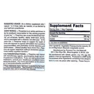 Alternative view of L-Theanine 200mg - 60 capsules