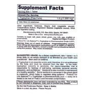 Alternative view of L-Tryptophan 1000mg - 60 tablets