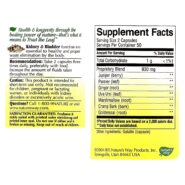 Kidney Bladder - 100 capsules - Image 2