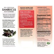 Alternative view of Sambucus for Kids Berry Flavor - 4 ounces