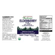 Alternative view of Elderberry Plus Syrup - 4 ounces