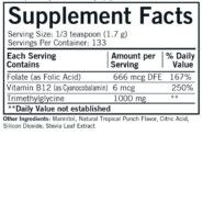 Alternative view of TMG (Trimethylglycine) w/Folic Acid & B-12 Powder 8 oz