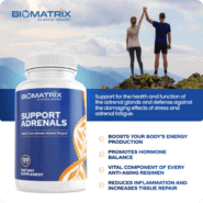 Support Adrenals - 120 capsules - Image 5