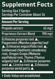 Alternative view of Echinacea/Gold Propolis Throat Spray - 1 ounce