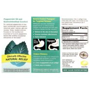 Alternative view of Pepogest (Peppermint Oil) - 60 softgels