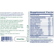 Alternative view of Immune Symmetry - 60 capsules