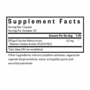 DAO Enzyme - 30 capsules (Formerly Histamine Digest ) - Image 2