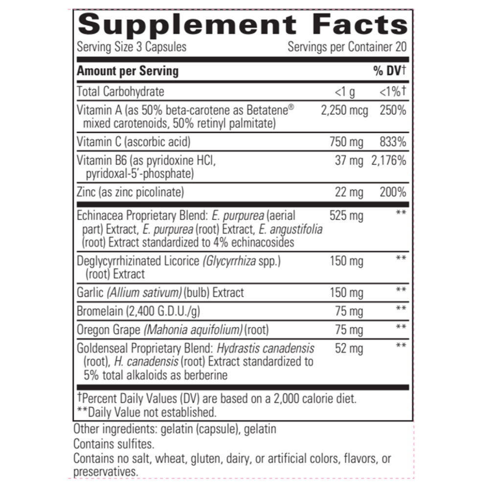 EHB (Echinacea Extract) - 60 capsules - Image 2