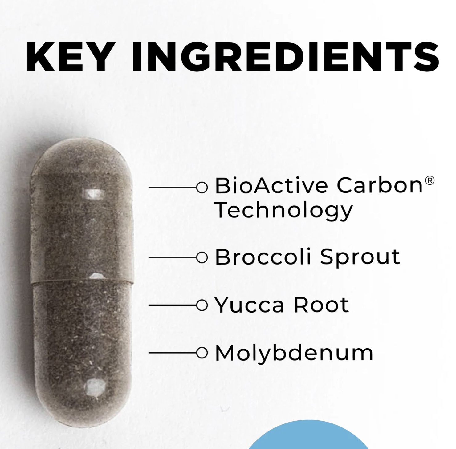 BioToxin Binder - 120 capsules - Image 3