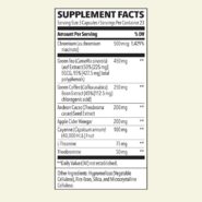 Alternative view of Metabolism - 70 capsules