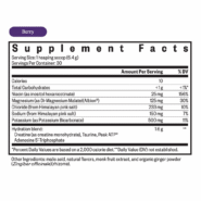 Alternative view of Optimal Electrolyte Berry - 192 grams